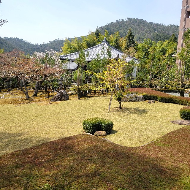 f:id:atoriatoriatori:20250429150417j:image