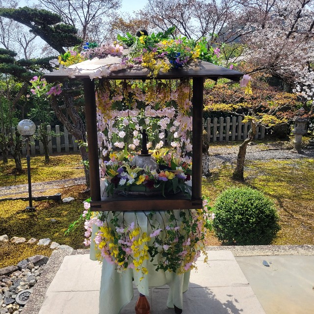 f:id:atoriatoriatori:20250429154231j:image