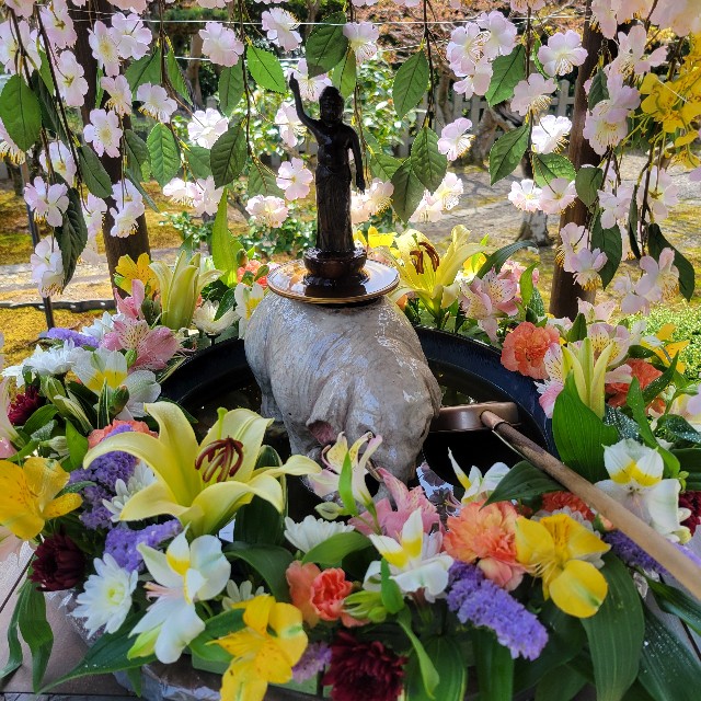 f:id:atoriatoriatori:20250429154242j:image