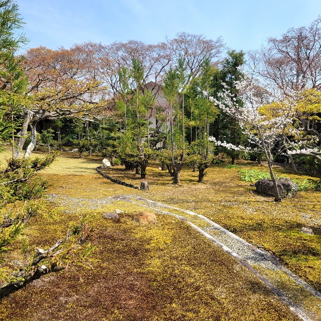 f:id:atoriatoriatori:20250429162854j:image