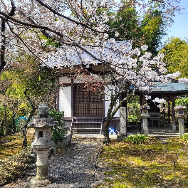 f:id:atoriatoriatori:20250429162906j:image