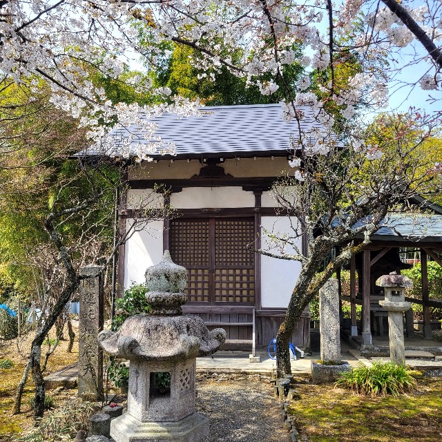 f:id:atoriatoriatori:20250429162916j:image