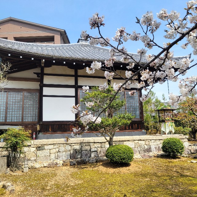 f:id:atoriatoriatori:20250429162952j:image