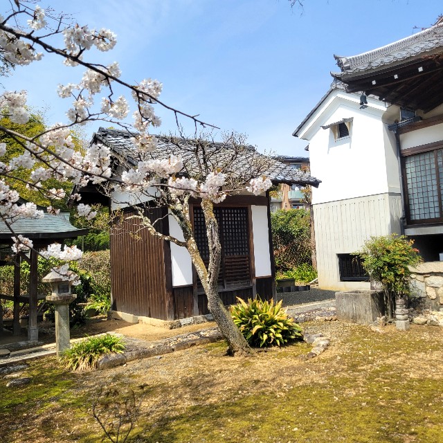 f:id:atoriatoriatori:20250429163449j:image