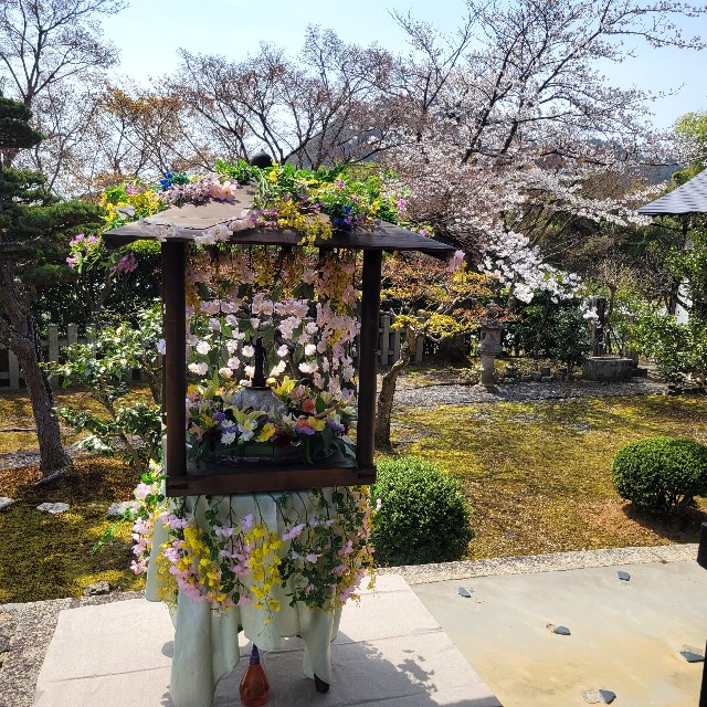 f:id:atoriatoriatori:20250429163819j:image