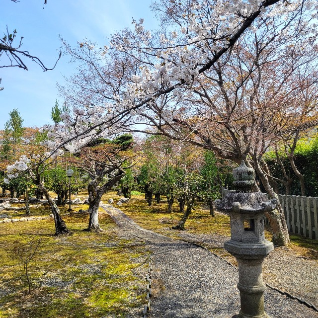 f:id:atoriatoriatori:20250429163833j:image