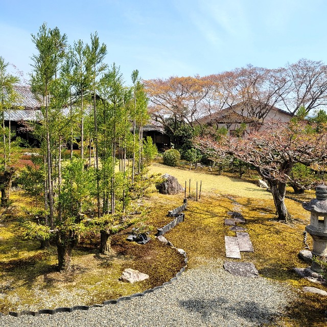 f:id:atoriatoriatori:20250429164203j:image