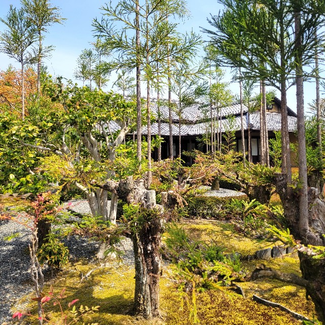 f:id:atoriatoriatori:20250429164339j:image