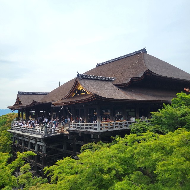 f:id:atoriatoriatori:20250526092821j:image