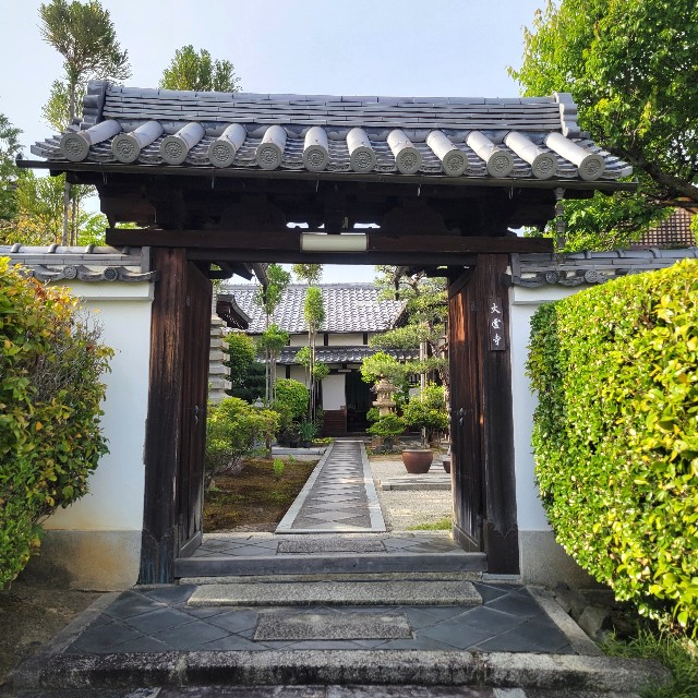 f:id:atoriatoriatori:20250526170443j:image