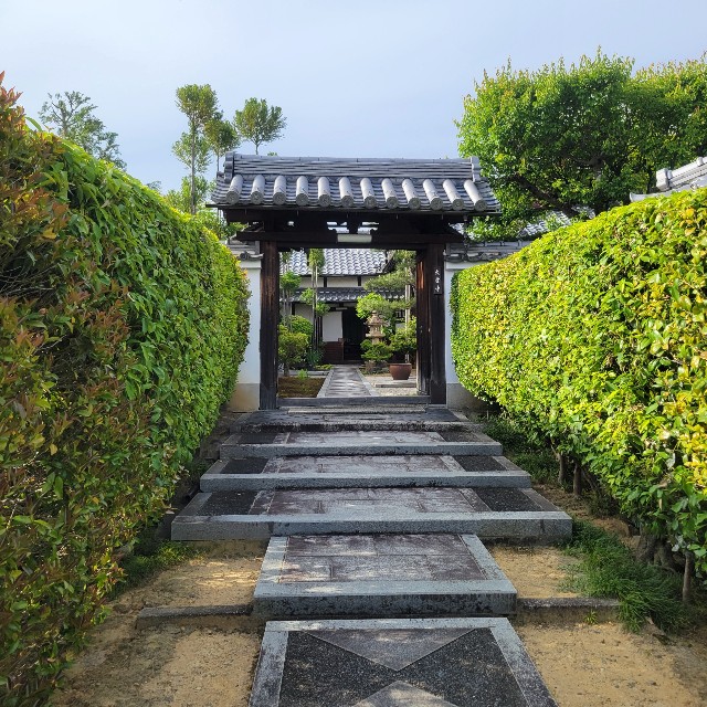 f:id:atoriatoriatori:20250526170746j:image