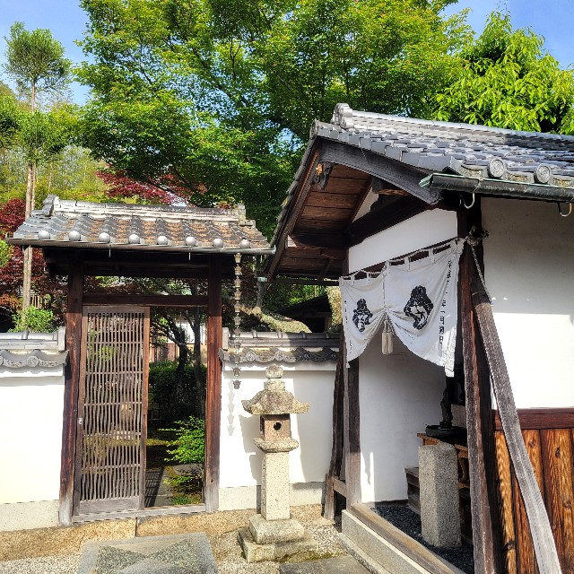 f:id:atoriatoriatori:20250526170813j:image