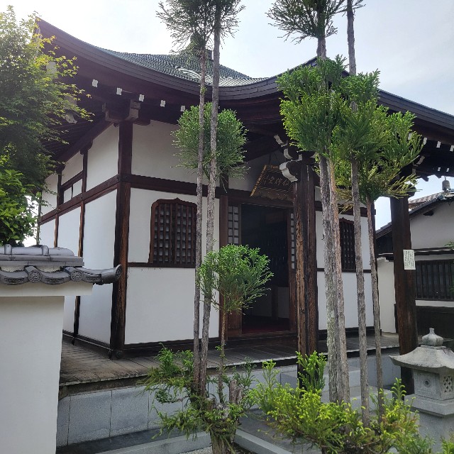 f:id:atoriatoriatori:20250526174717j:image