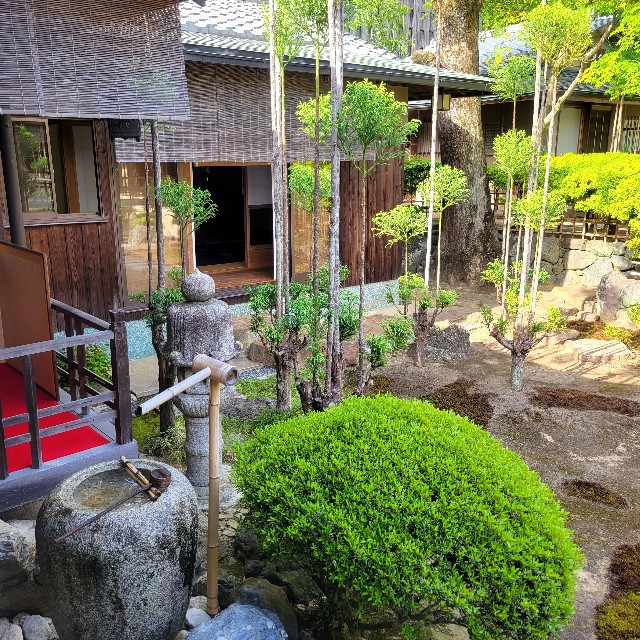 f:id:atoriatoriatori:20250527210901j:image