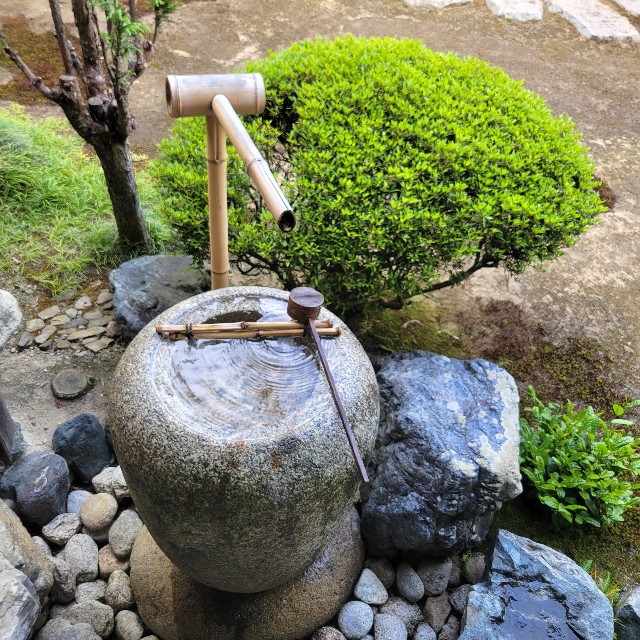 f:id:atoriatoriatori:20250527210911j:image