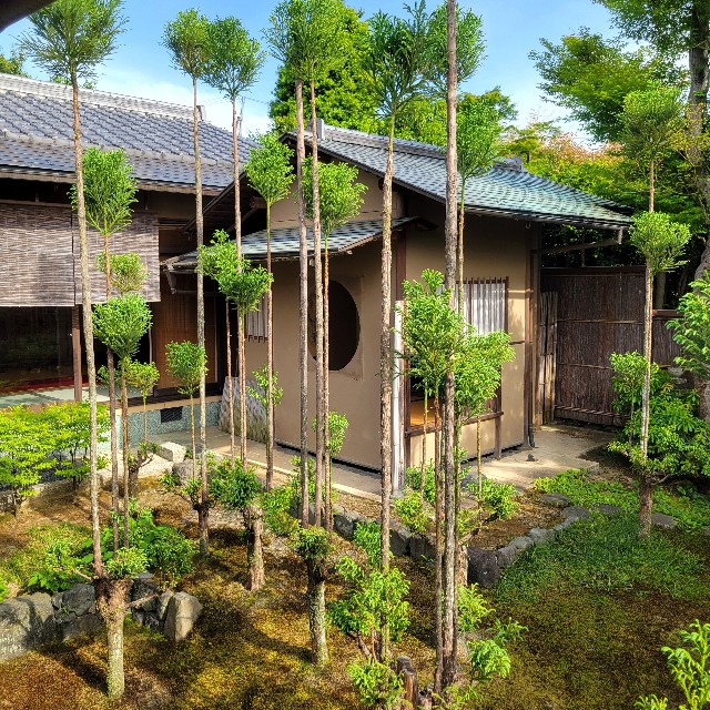 f:id:atoriatoriatori:20250527211606j:image
