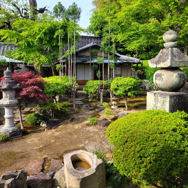 f:id:atoriatoriatori:20250528084134j:image