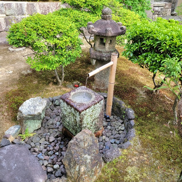 f:id:atoriatoriatori:20250528092236j:image