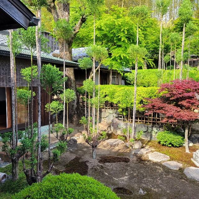 f:id:atoriatoriatori:20250528094105j:image