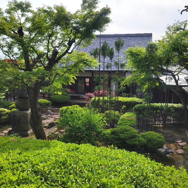 f:id:atoriatoriatori:20250528094418j:image
