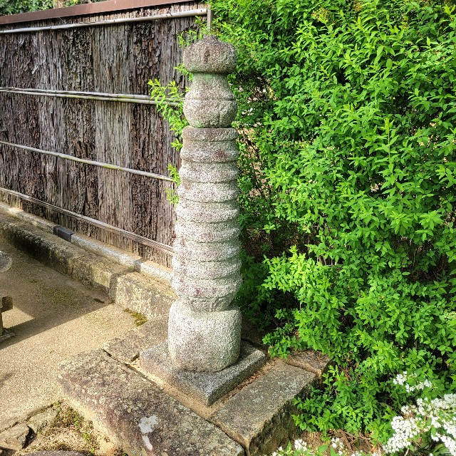 f:id:atoriatoriatori:20250528094438j:image