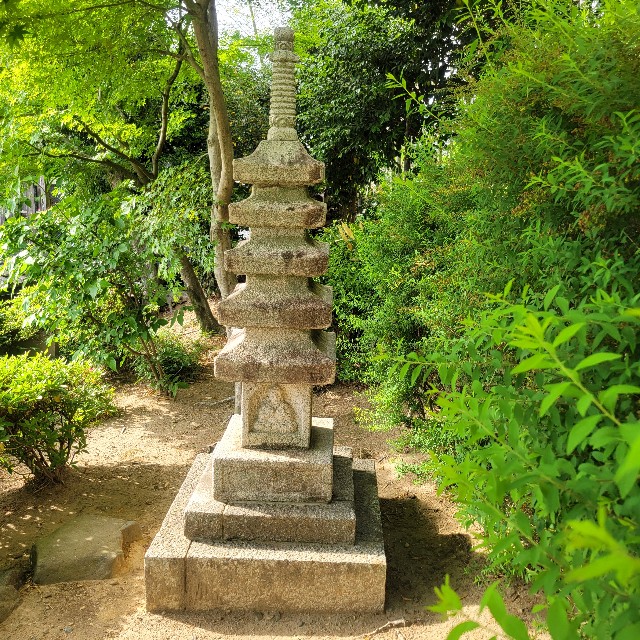 f:id:atoriatoriatori:20250528094511j:image