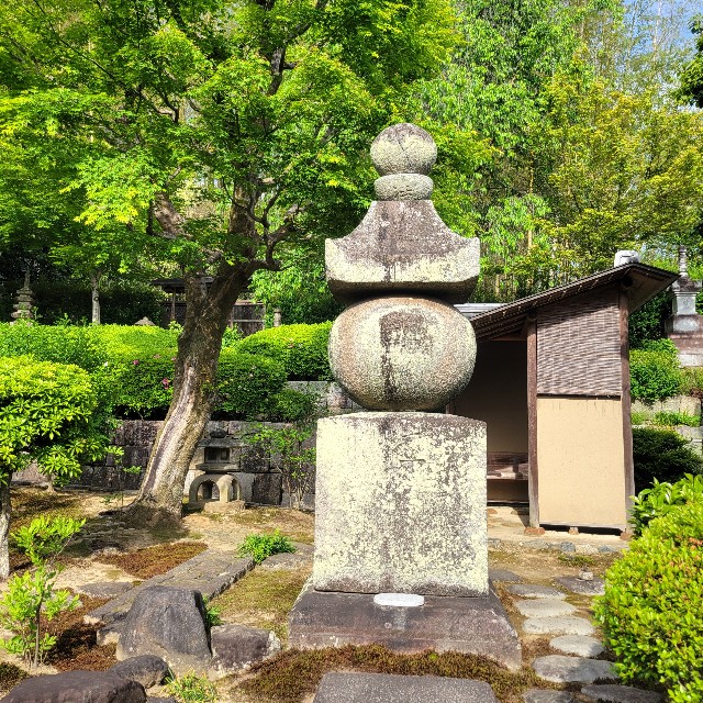 f:id:atoriatoriatori:20250528094829j:image
