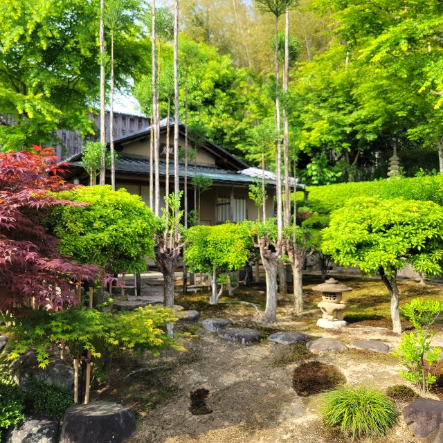 f:id:atoriatoriatori:20250528100748j:image