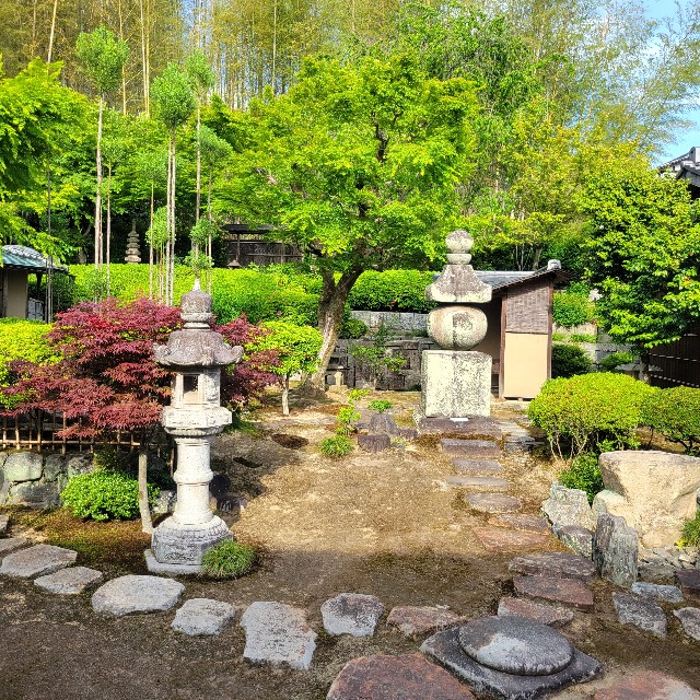 f:id:atoriatoriatori:20250528100804j:image