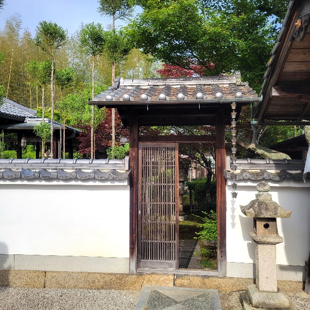 f:id:atoriatoriatori:20250528155740j:image