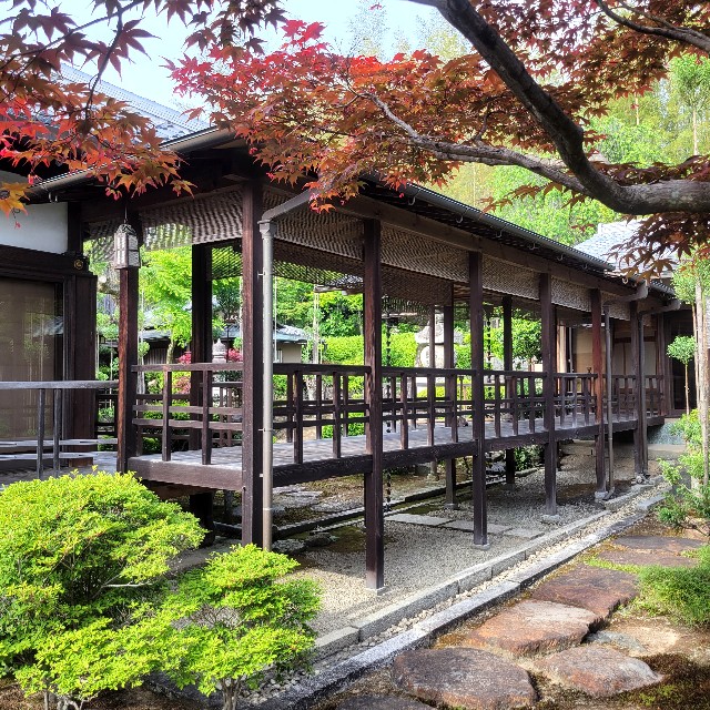 f:id:atoriatoriatori:20250528164624j:image