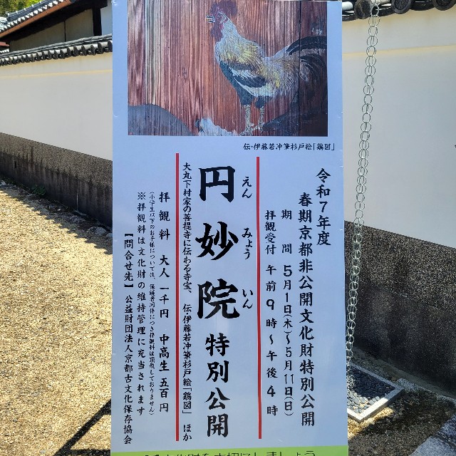 f:id:atoriatoriatori:20250530210237j:image