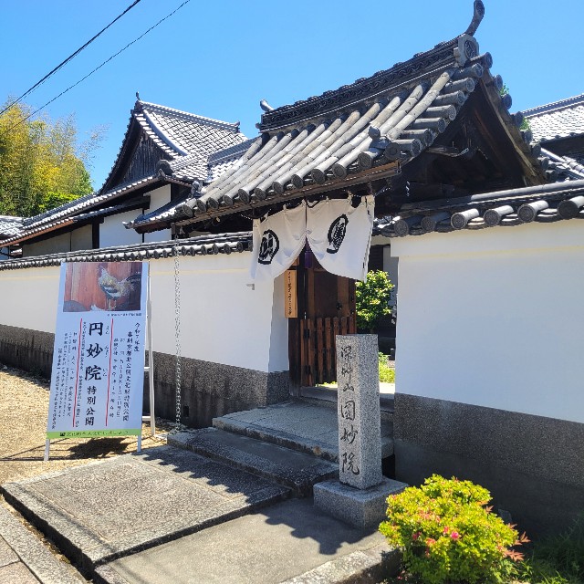 f:id:atoriatoriatori:20250531093116j:image