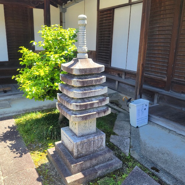 f:id:atoriatoriatori:20250531093152j:image