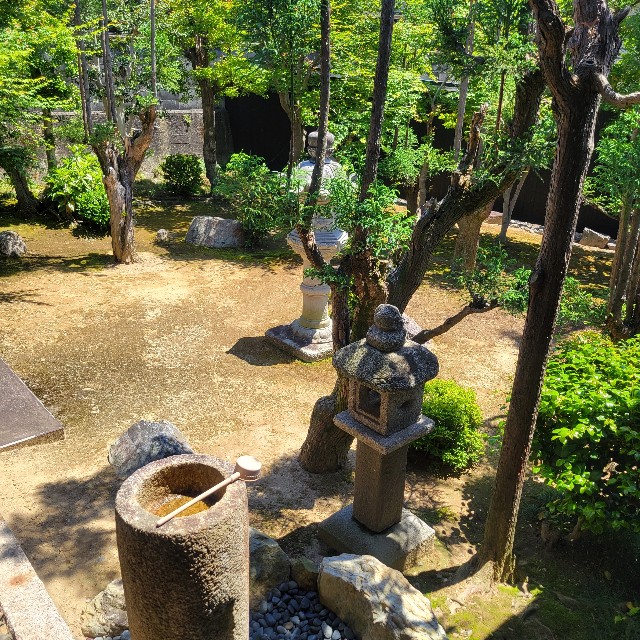 f:id:atoriatoriatori:20250531103901j:image