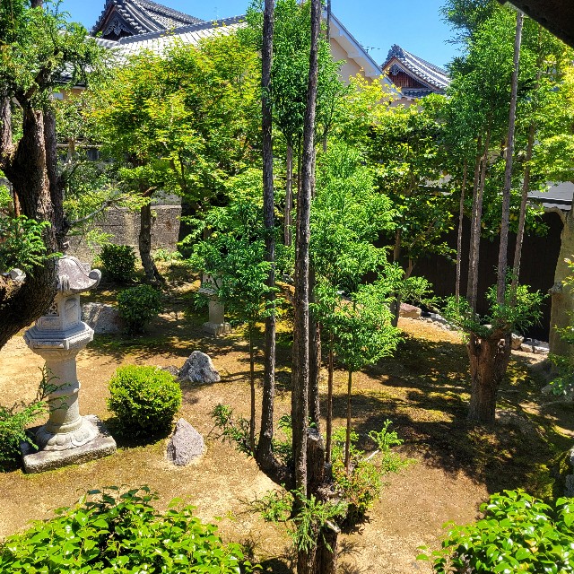 f:id:atoriatoriatori:20250531103909j:image