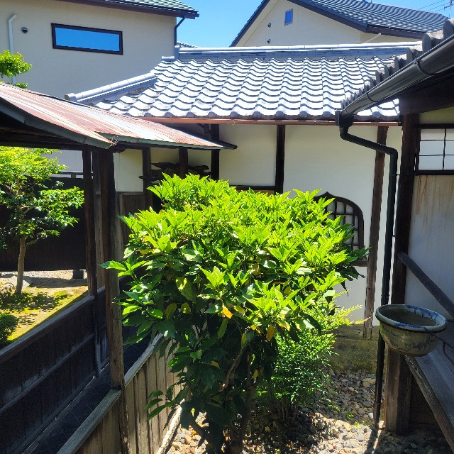 f:id:atoriatoriatori:20250531103918j:image
