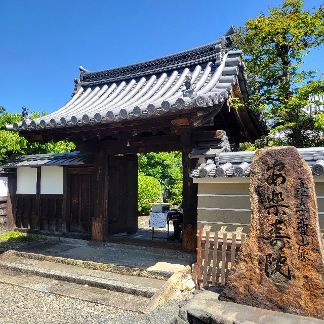 f:id:atoriatoriatori:20250531164413j:image