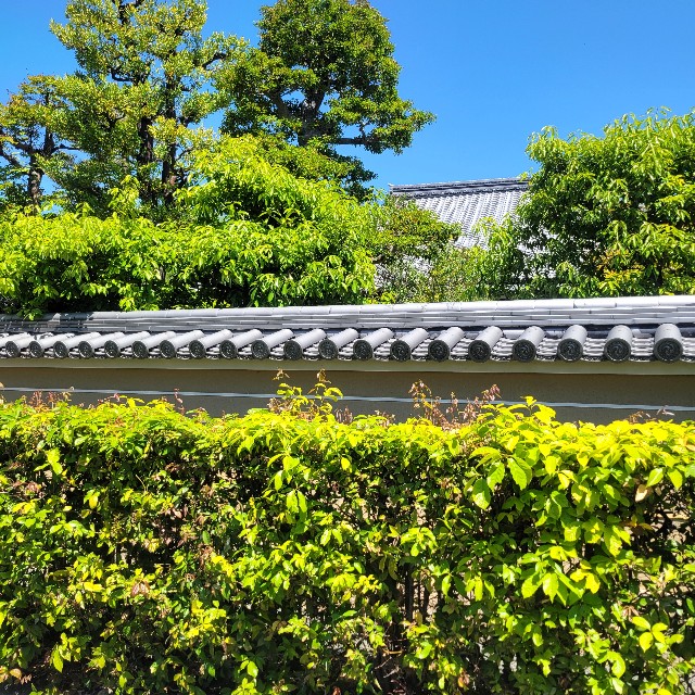 f:id:atoriatoriatori:20250531164424j:image