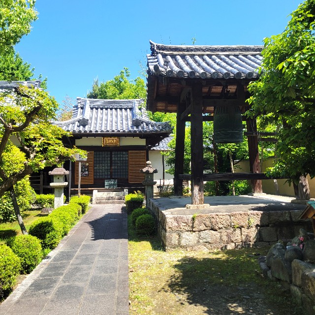 f:id:atoriatoriatori:20250531164649j:image