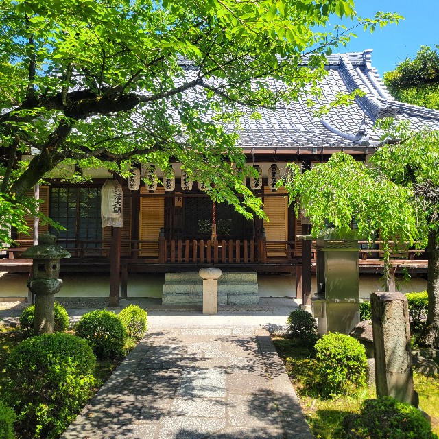 f:id:atoriatoriatori:20250531164701j:image