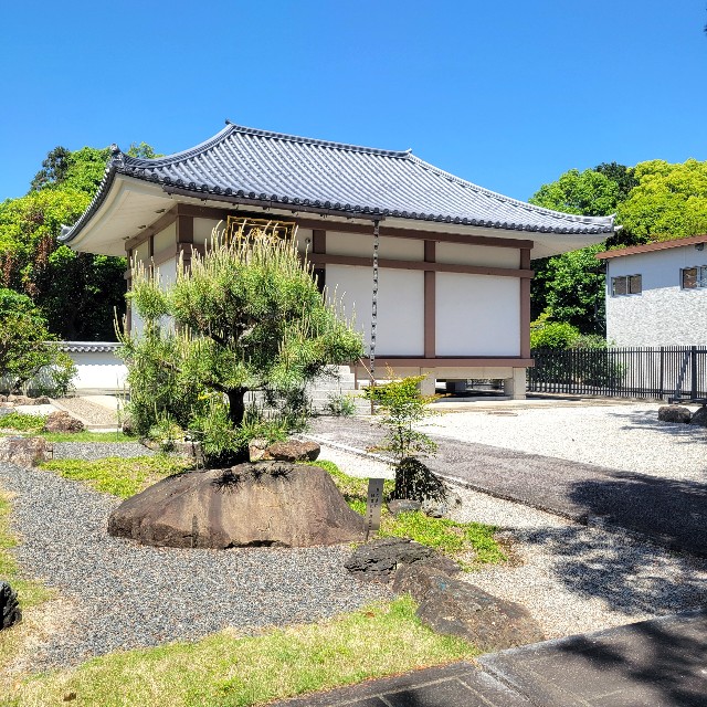 f:id:atoriatoriatori:20250531164825j:image