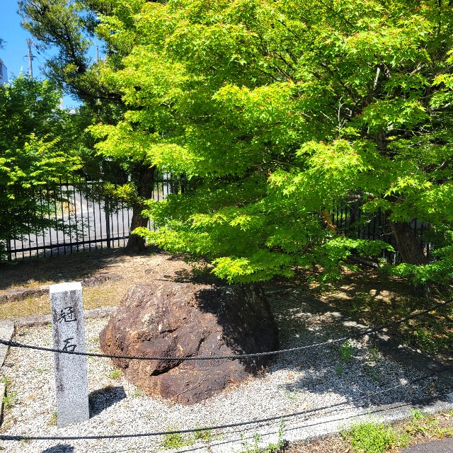 f:id:atoriatoriatori:20250531165222j:image