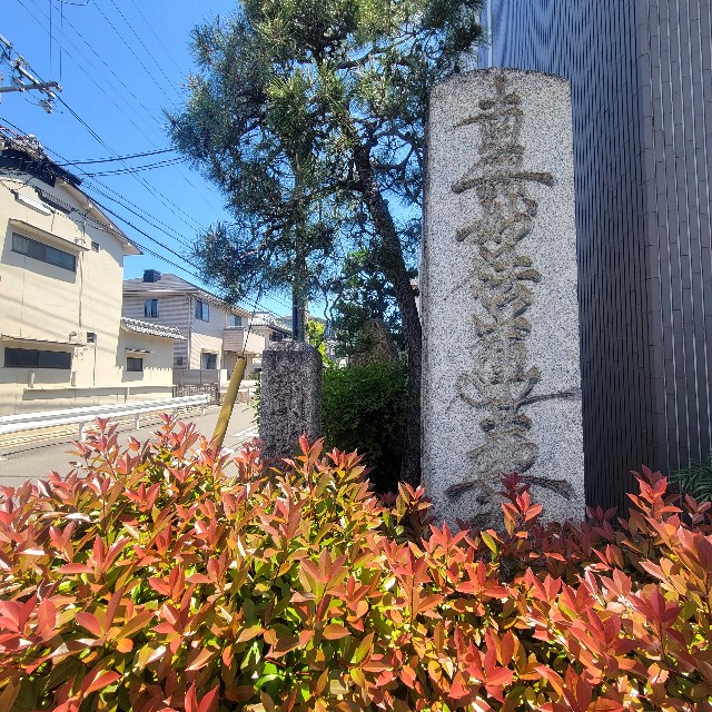f:id:atoriatoriatori:20250601103537j:image