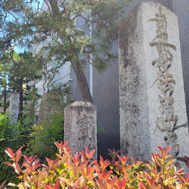 f:id:atoriatoriatori:20250601103545j:image