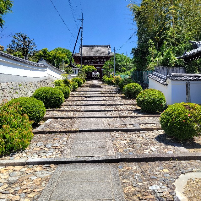 f:id:atoriatoriatori:20250601203629j:image