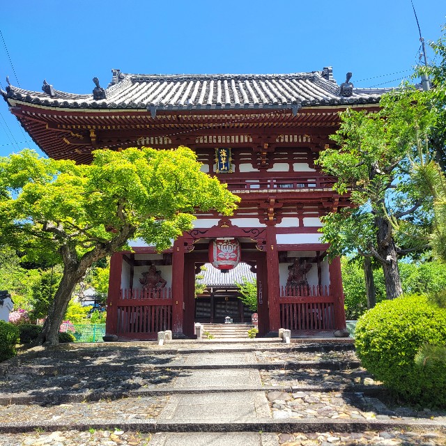 f:id:atoriatoriatori:20250602085927j:image