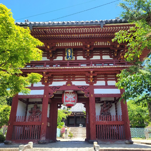 f:id:atoriatoriatori:20250602085936j:image