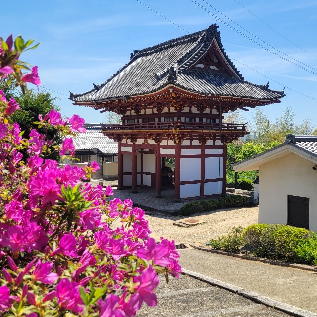 f:id:atoriatoriatori:20250602090706j:image