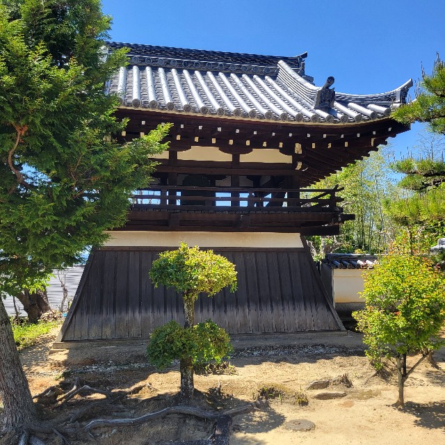 f:id:atoriatoriatori:20250602095418j:image